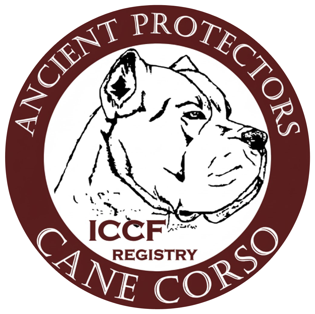 ICCF Certified